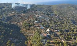 Antalya'nın Kaş ilçesinde orman yangını çıktı