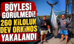 Böylesi Görülmedi! 260 kiloluk dev orkinos yakalandı