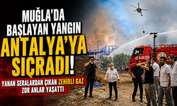 Muğla'da başlayan yangın Antalya'ya sıçradı! Yanan seralardan çıkan zehirli gaz zor anlar yaşattı