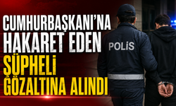 Cumhurbaşkanı'na hakaret eden şüpheli gözaltına alındı
