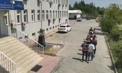 Diyarbakır'da 5,7 ton toz esrar elde edilebilecek kök kenevir ve skunk imha edildi