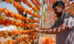 Gaziantep'te kurutmalık sezonu başladı
