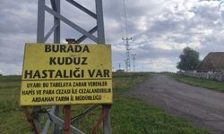 Ardahan'da karantina! Kuduz nedeniyle mahalleye giriş çıkışlar yasaklandı