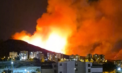Ankara'da ormanlık alanda yangın