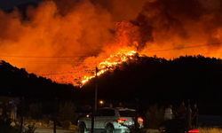 Fethiye'de orman yangını