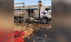 Tonlarca soğan yola saçıldı