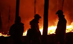 73 orman yangınına soruşturma! 12 kişi tutuklandı