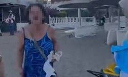 Plaj saldırganı için 3 yıla kadar hapis istemi