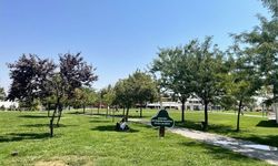 Şanlıurfa'da termometreler 46 dereceyi gösterdi
