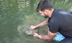 Derelerde her gün 5 gram altın çıkarıyorlar! Türkiye'de altın çok arayan yok...