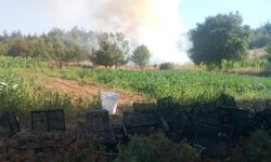 Bursa’da orman yangını! Havadan ve karadan müdahale başlatıldı