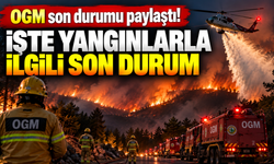 OGM son durumu paylaştı! İşte yangınlarla ilgili son durum