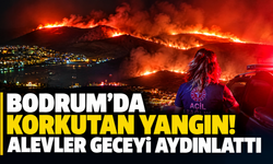 Bodrum'da korkutan yangın! Alevler geceyi aydınlattı