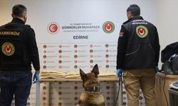 Kapıkule'de 50 kilogram uyuşturucu ele geçirildi