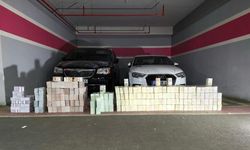Vanlı Kara Haydar'ın otoparkındaki araçlardan servet çıktı