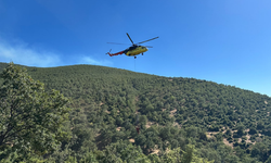 Uşak'taki yangın kontrol altında