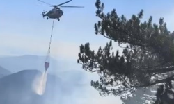 Fethiye'deki orman yangını kontrol altında