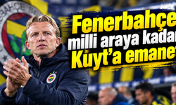 Fenerbahçe milli araya kadar Kuyt'a emanet