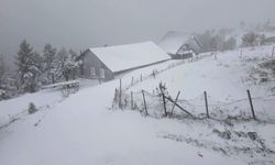 Düzce'nin yaylaları beyaza büründü