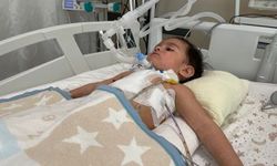 Konya'da 1 yaşındaki bebeğin akciğerinden ceviz çıktı! Sabaha kadar ameliyat edildi