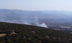 Ankara’da ormanlık alandaki yangın kontrol altına alındı
