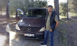 Zeytin toplarken arı soktu hayatını kaybetti