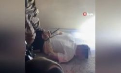 "Arap Emrah" suç örgütüne yönelik 8 ilde operasyon: 34 gözaltı