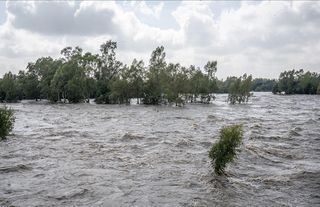 Sel felaketinde can kaybı 142'ye yükseldi  
