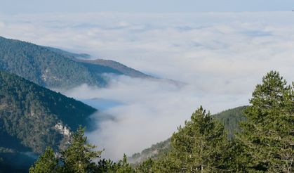 Bolu Dağı'nda sis etkili