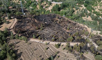 Ankara'da çalılık alanda çıkan yangın söndürüldü