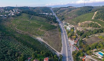 Bursa'da yıllar önce yanan ormanlar yeniden hayat buluyor