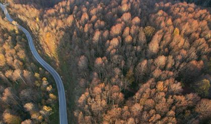 Sonbaharın renkleri Çam Dağı'nı baştan sona sardı