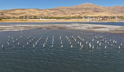 Van Gölü'nün çekilmesiyle asırlık iskelenin ayakları ortaya çıktı