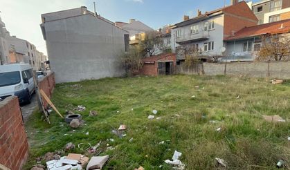 Eskişehir'de boş arsada 8 ölü kedi bulundu