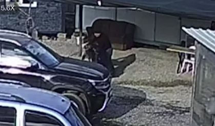 Beslediği köpek saldırdı: O anlar kamerada