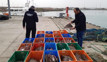 Kaçak avlanan 850 kilo kalkan balığına el konuldu