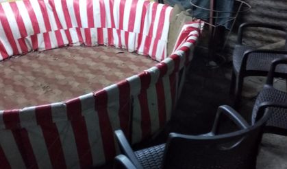 Hatay'da horoz dövüştürenlere 990 bin lira ceza