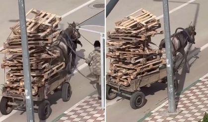 Bursa’da pes dedirten görüntüler! Kat kat palet yükledi