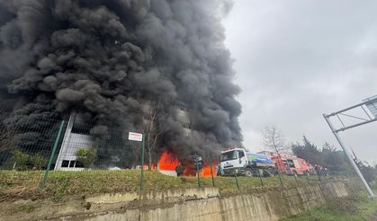 Trabzon'da fındık fabrikası deposunda yangın