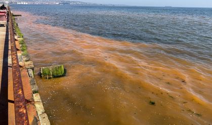 Tekirdağ'da denizin rengi değişti
