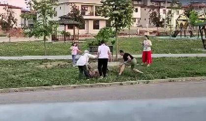 Parkta korku dolu anlar! Doktorun müdahalesi tartışma yarattı: Güvenlik kamerası görüntüleri ortaya çıktı