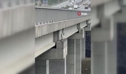 Kuzey Marmara Otoyolu'nda mahsur kalan keçiyi itfaiye kurtardı