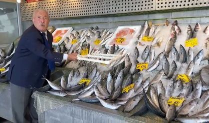 Balık sezonu bereketli başladı! Hamsi 200, palamut 100 liradan başlıyor