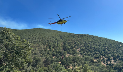 Uşak'taki yangın kontrol altında