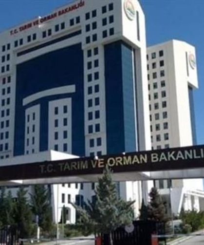 Reçelde meyve oranı artıyor: 1 kilogramda en az 450 gram meyve