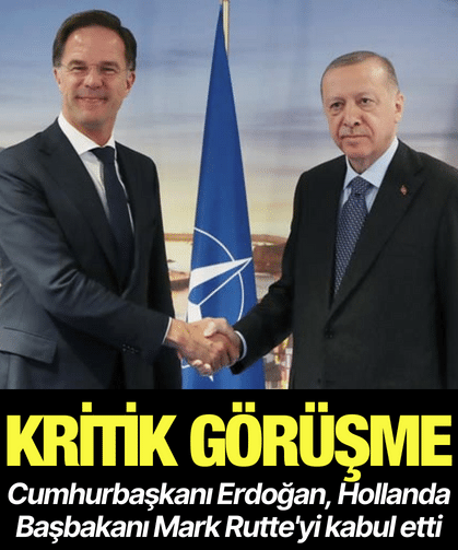Cumhurbaşkanı Erdoğan Rutte'yi kabul etti