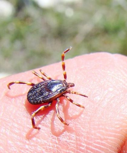 Uzmanlardan KKKA uyarısı! Erken başvuru hayat kurtarıyor