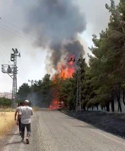 Gaziantep'te orman yangını