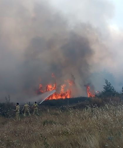 Muğla'daki orman yangınında 1 kişi gözaltına alındı