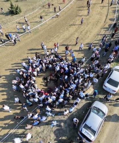 Yarışta çarpışan iki at telef oldu, jokey son anda atlayarak kurtuldu
